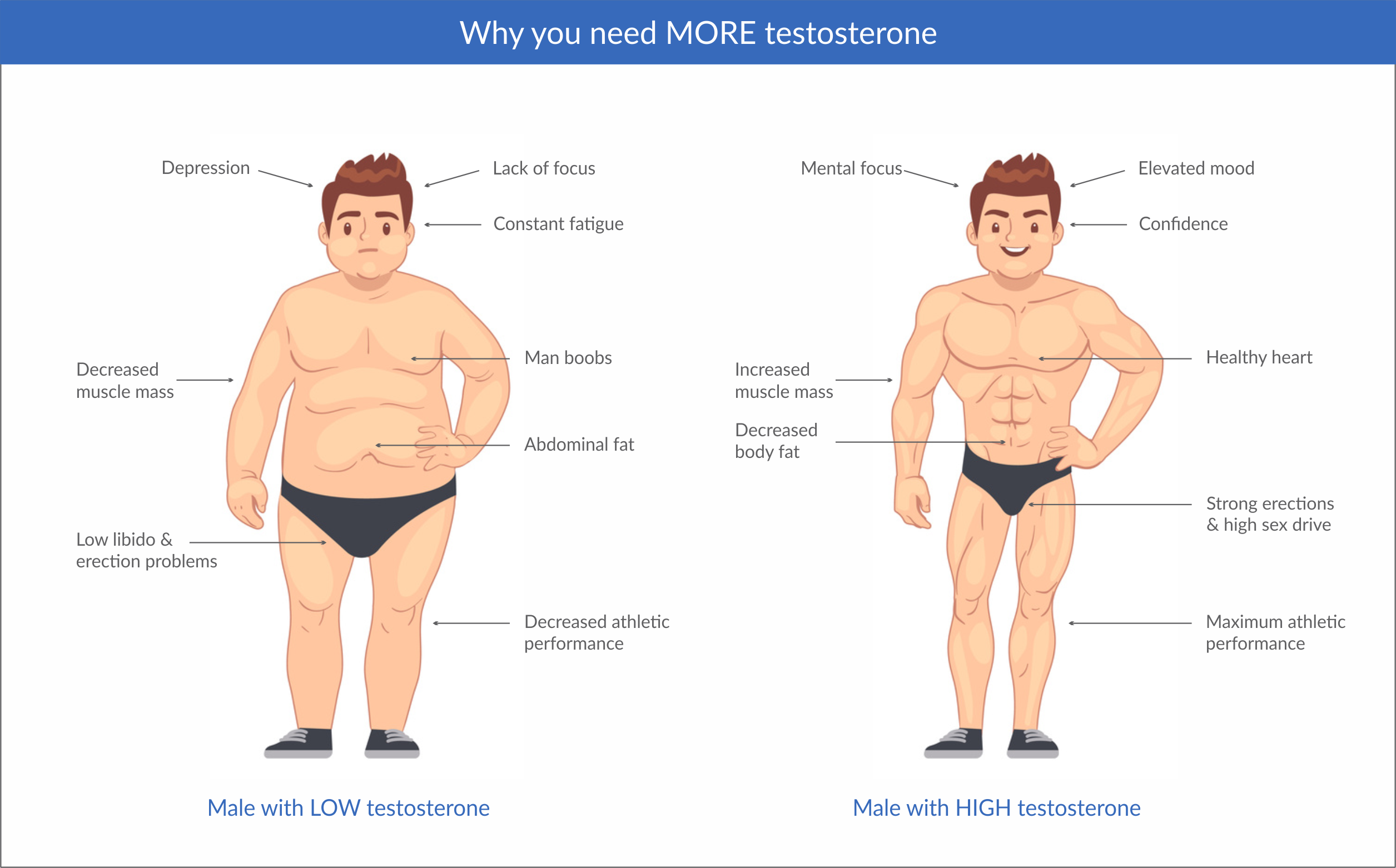2019 year - The High Price of Low Testosterone 2019 year